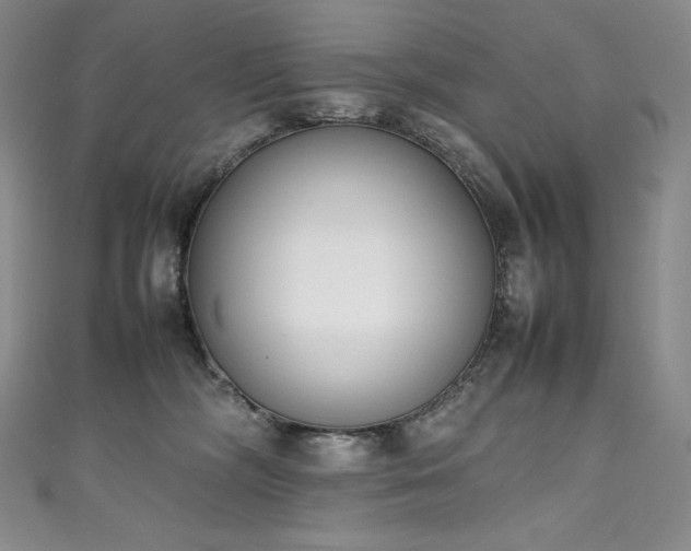 X0000111140326200906301235