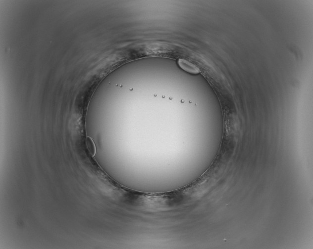 X0000111140327200906301235