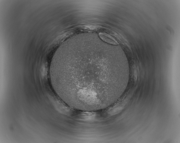 X0000111140328200906301235