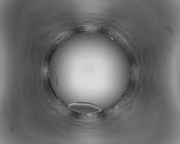 X0000111140329200906301235