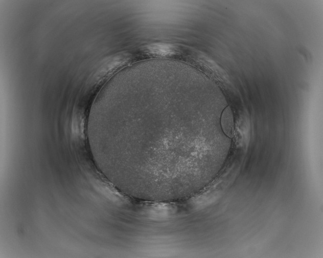 X0000111140330200906301235