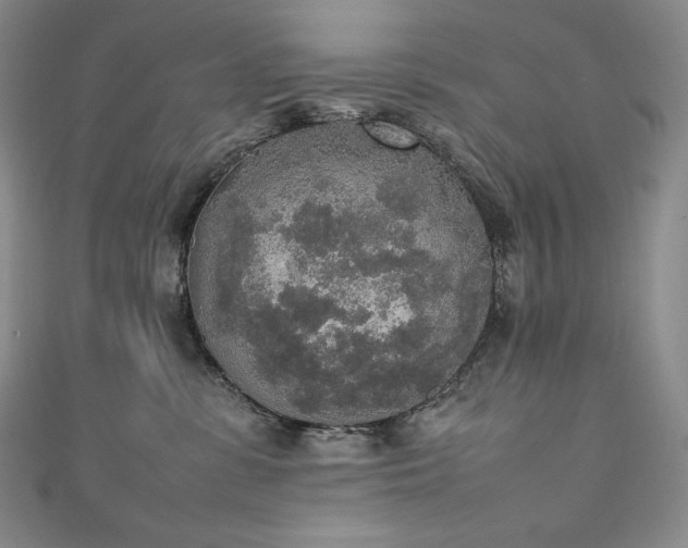 X0000111140331200906301235