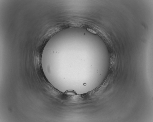 X0000111140333200906301235