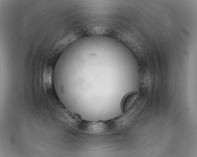 X0000111140334200906301235