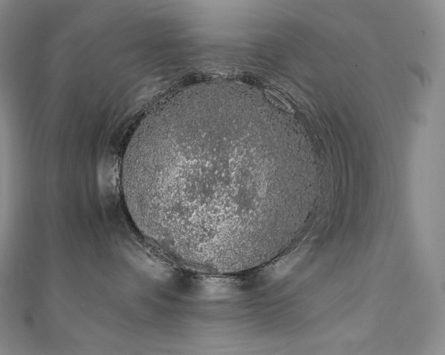 X0000111140336200906301235