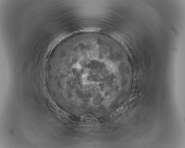 X0000111140337200906301234