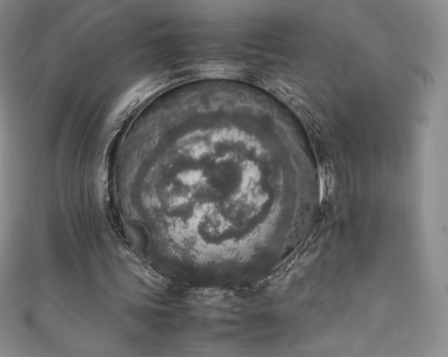 X0000111140339200906301234