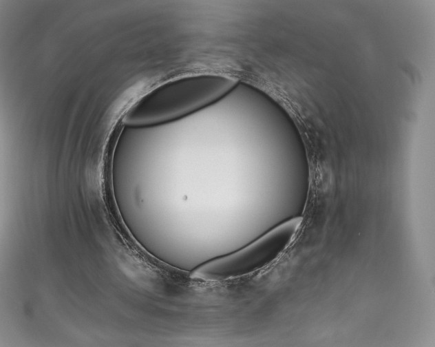 X0000111140340200906301234