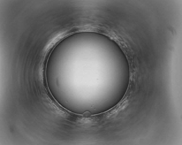 X0000111140341200906301234