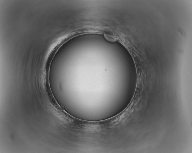 X0000111140342200906301234