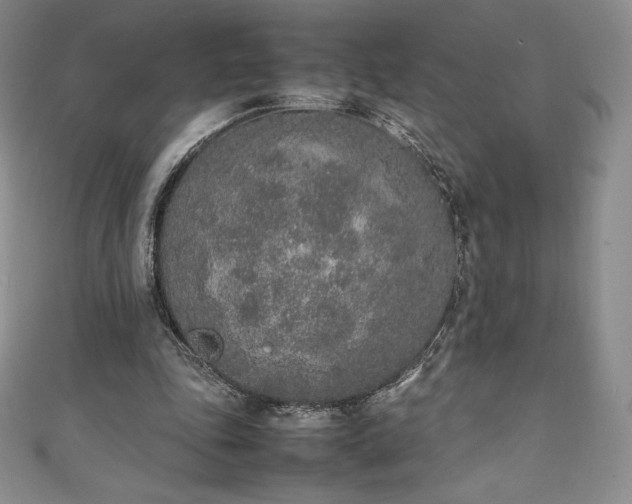 X0000111140343200906301234