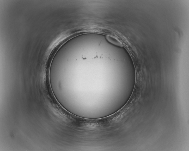 X0000111140344200906301234