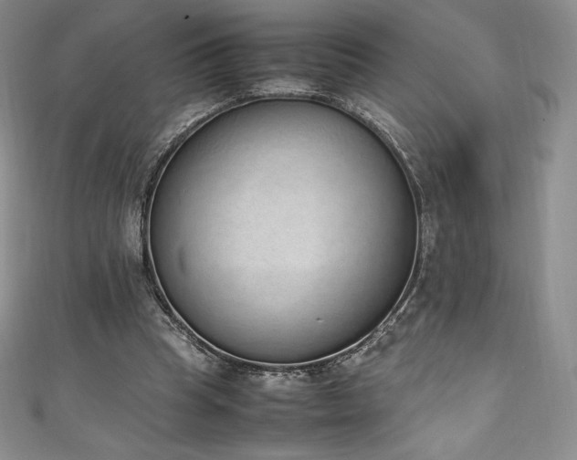 X0000111140345200906301234