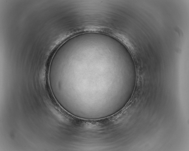 X0000111140346200906301234