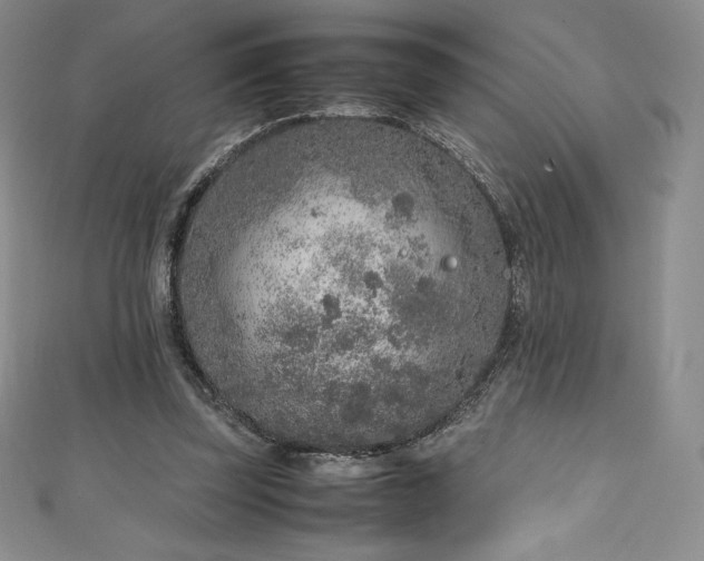 X0000111140347200906301235