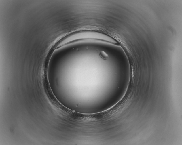 X0000111140348200906301235