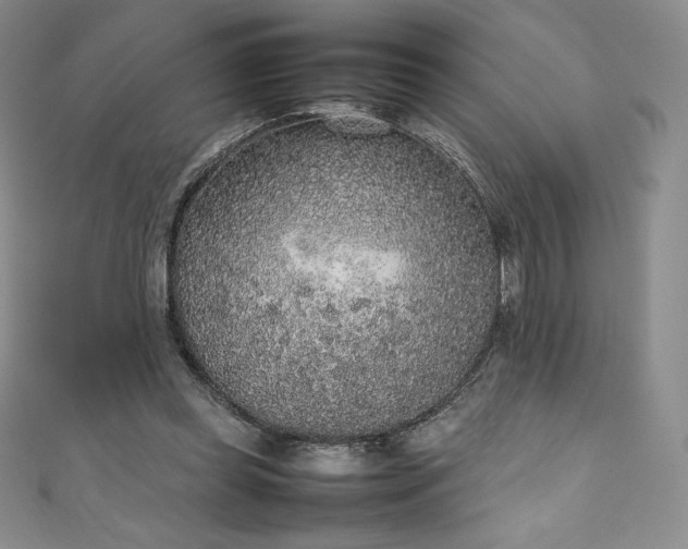 X0000111140349200906301235