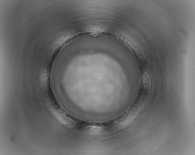 X0000111140352200906301235