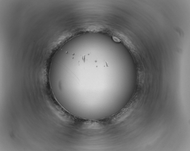 X0000111140354200906301235