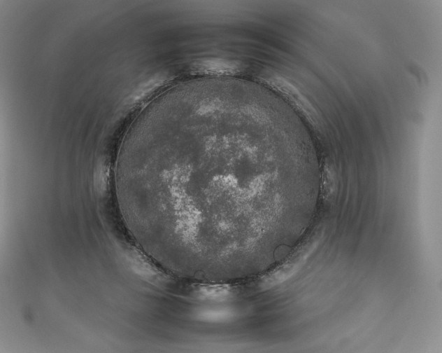 X0000111140355200906301235