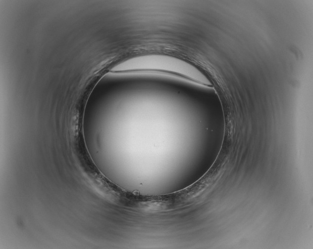 X0000111140356200906301235