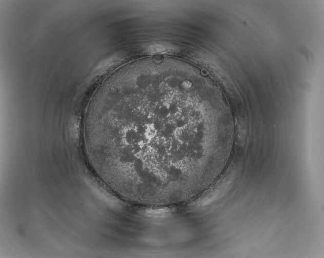 X0000111140357200906301235