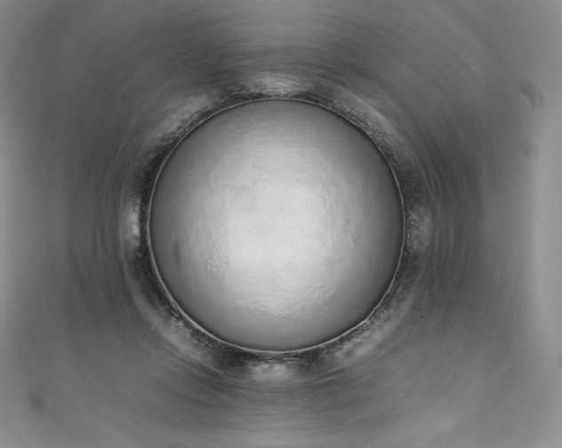 X0000111140358200906301235