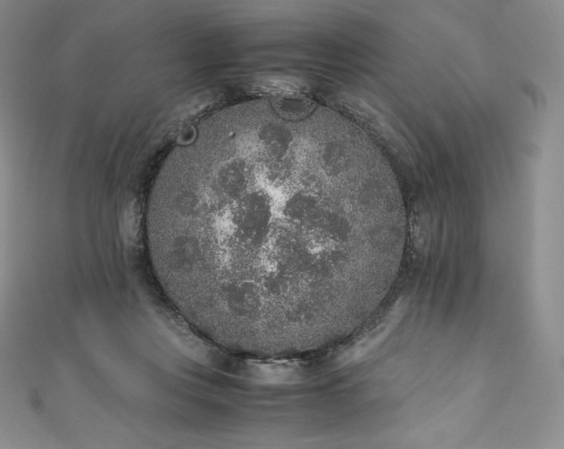 X0000111140359200906301235