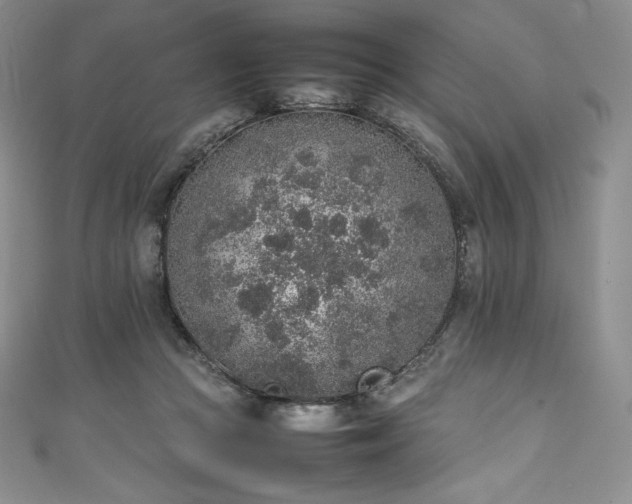 X0000111140361200906301235