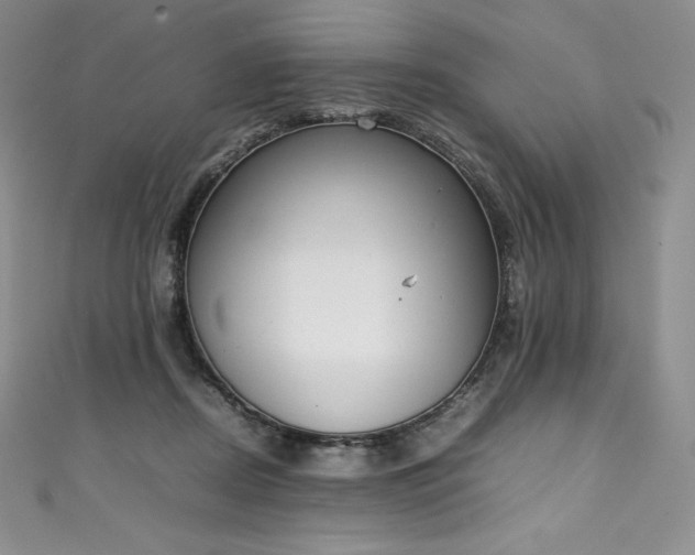 X0000111140362200906301235