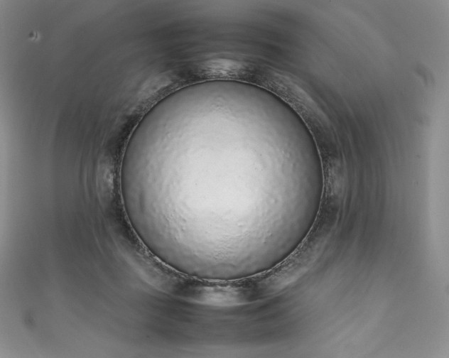 X0000111140363200906301235