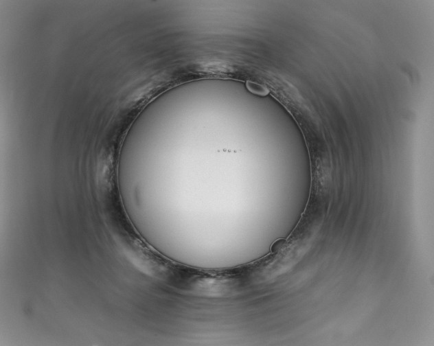 X0000111140364200906301235