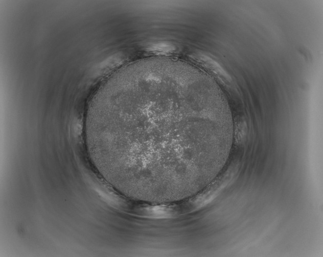 X0000111140365200906301235