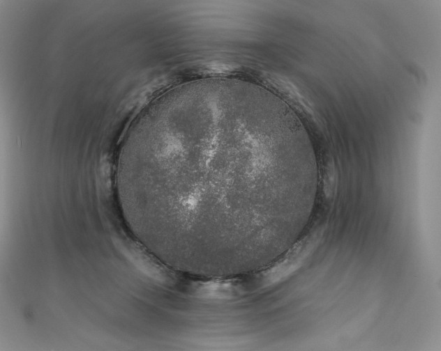 X0000111140366200906301235