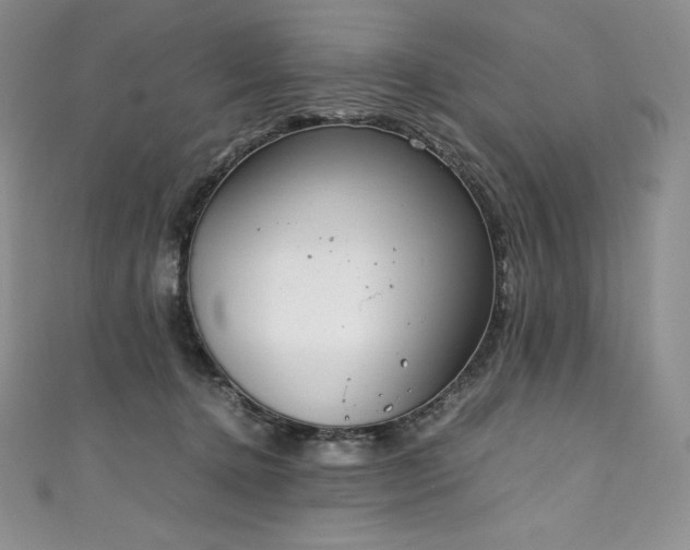 X0000111140368200906301235