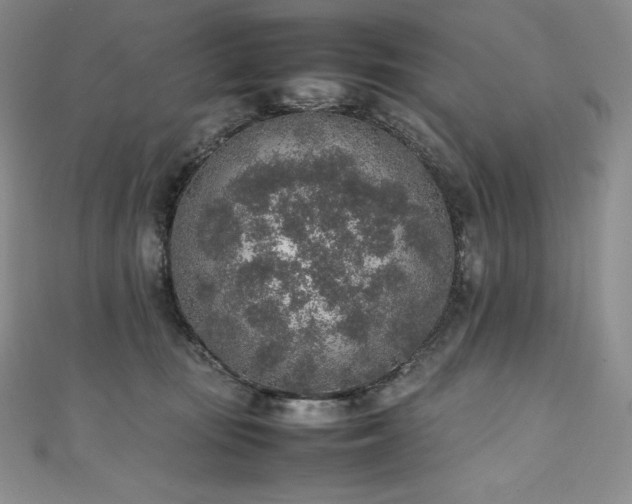 X0000111140371200906301235