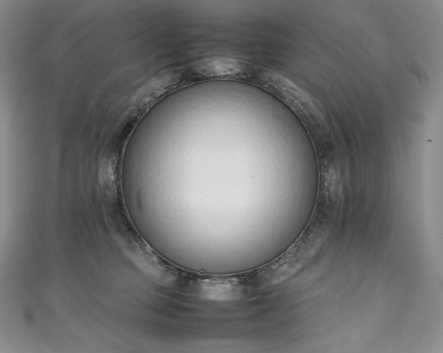 X0000111140373200906301235