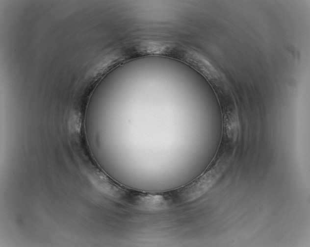 X0000111140374200906301235