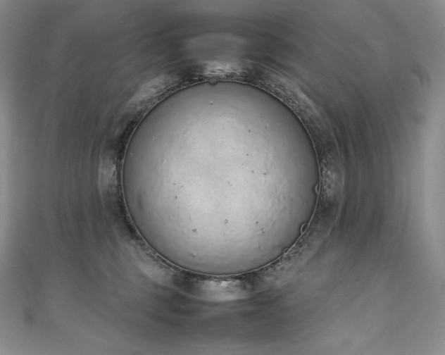 X0000111140375200906301235