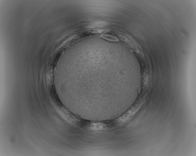 X0000111140376200906301235