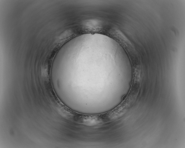 X0000111140377200906301235