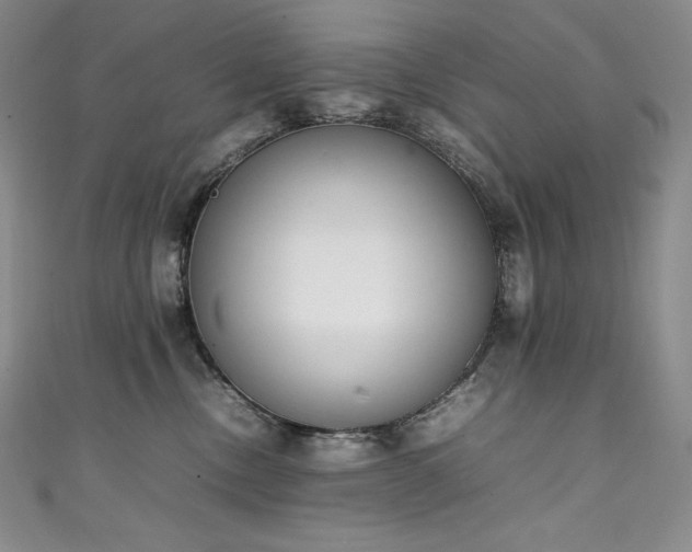 X0000111140378200906301235