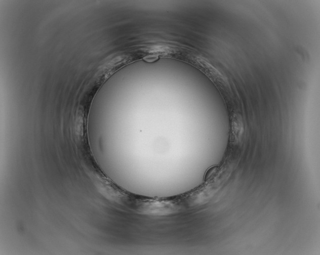 X0000111140379200906301235