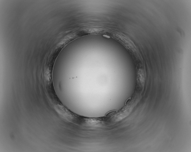 X0000111140380200906301235