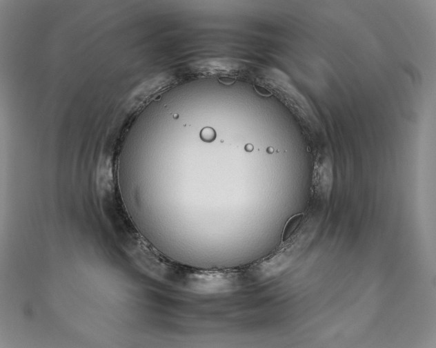 X0000111140381200906301235