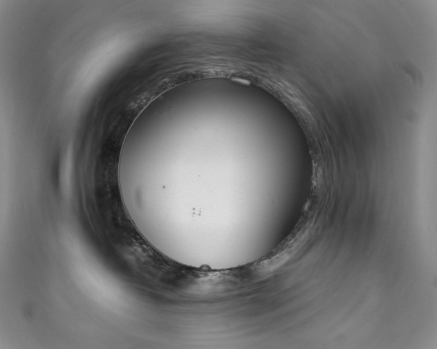 X0000111140382200906301235