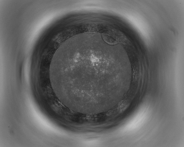 X0000111140383200906301235