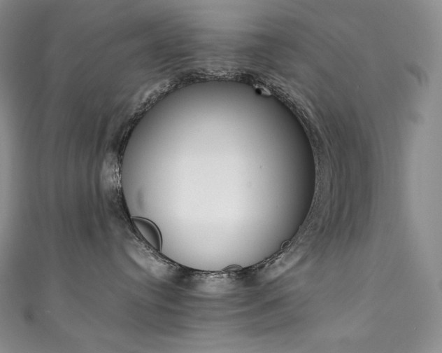 X0000111140384200906301235