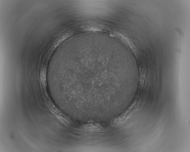 X0000111140386200906301234