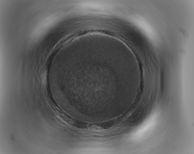 X0000111140387200906301234